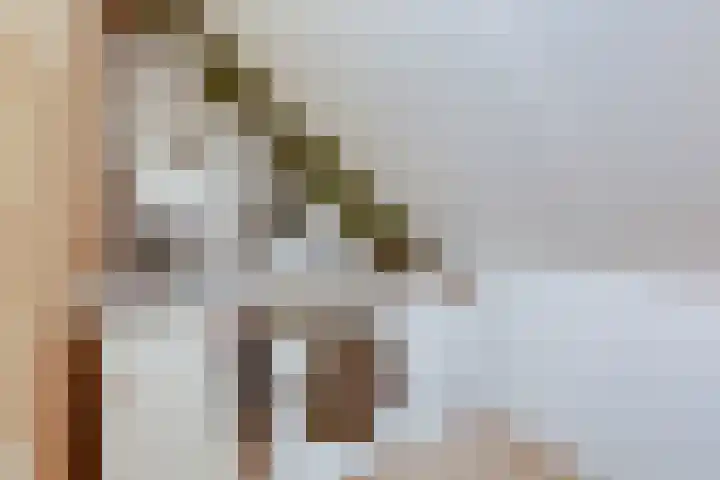 Kulturweide 11 Babberich thumbnail 52