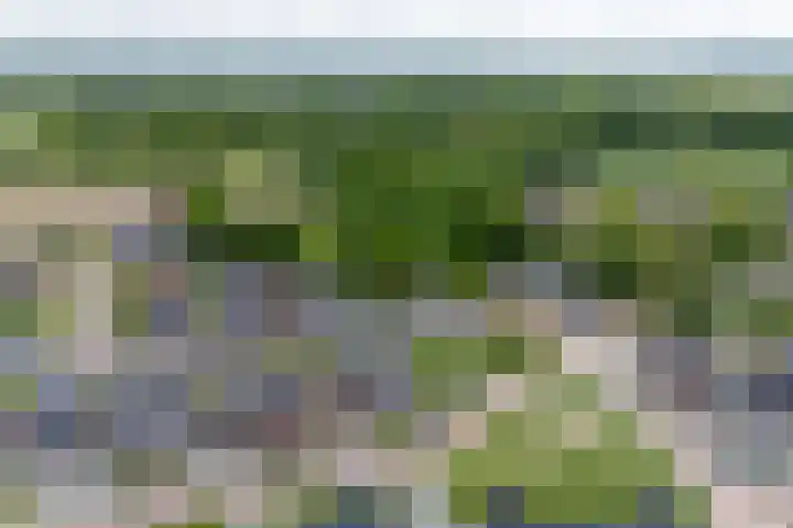 Kulturweide 11 Babberich thumbnail 66
