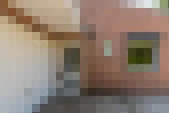 Kuluutsheuvel 12 Overloon thumbnail 10