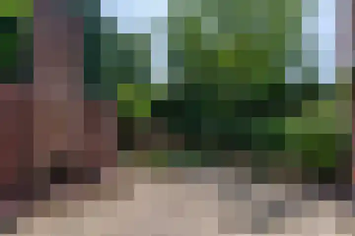 Kuluutsheuvel 12 Overloon thumbnail 13