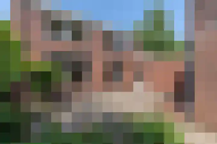 Kuluutsheuvel 12 Overloon thumbnail 16