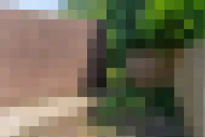 Kuluutsheuvel 12 Overloon thumbnail 17
