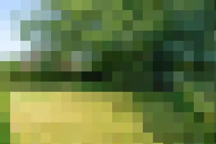 Kuluutsheuvel 12 Overloon thumbnail 18