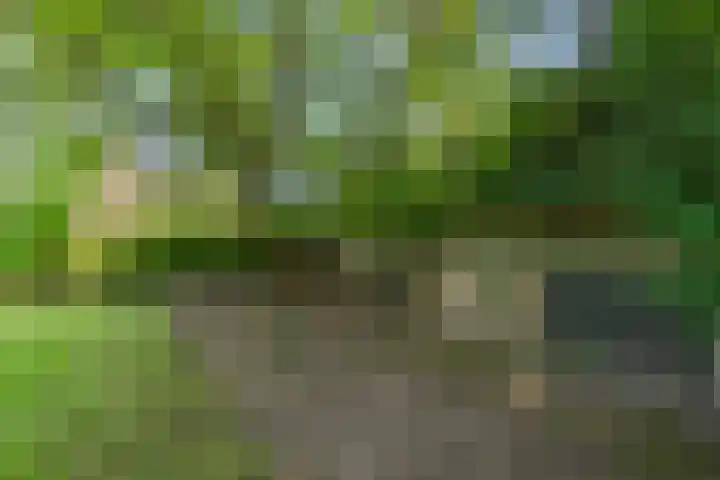 Kuluutsheuvel 12 Overloon thumbnail 19