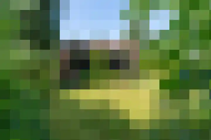 Kuluutsheuvel 12 Overloon thumbnail 20