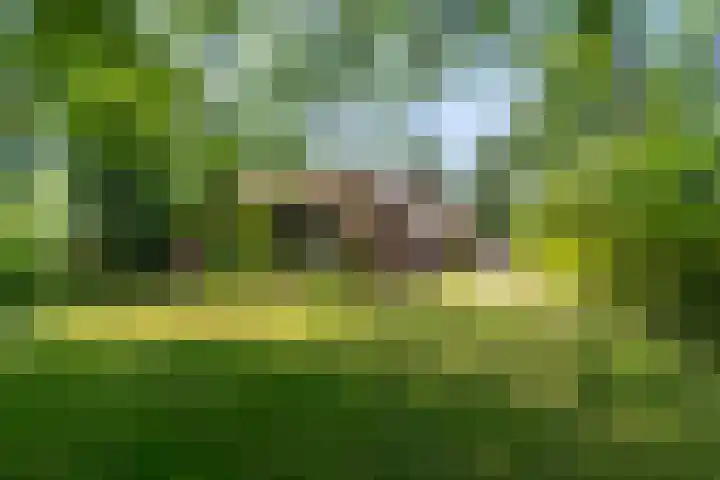 Kuluutsheuvel 12 Overloon thumbnail 21
