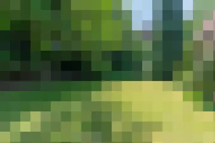 Kuluutsheuvel 12 Overloon thumbnail 22