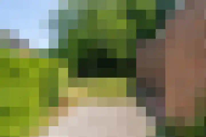 Kuluutsheuvel 12 Overloon thumbnail 24