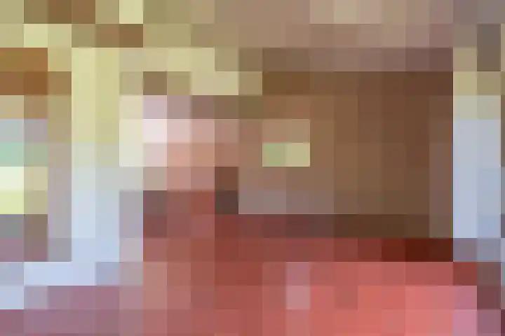 Kuluutsheuvel 12 Overloon thumbnail 31