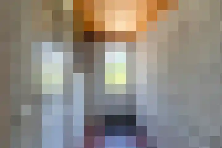 Kuluutsheuvel 12 Overloon thumbnail 43