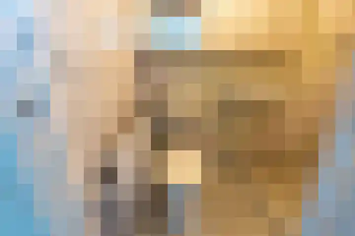 Kuluutsheuvel 12 Overloon thumbnail 45