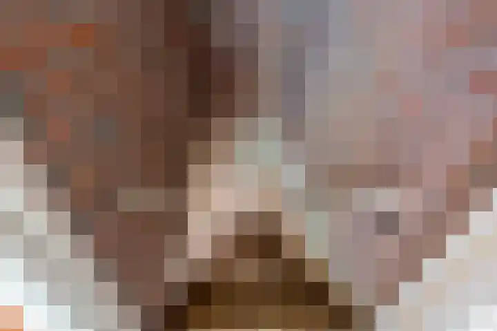 Kuluutsheuvel 12 Overloon thumbnail 50