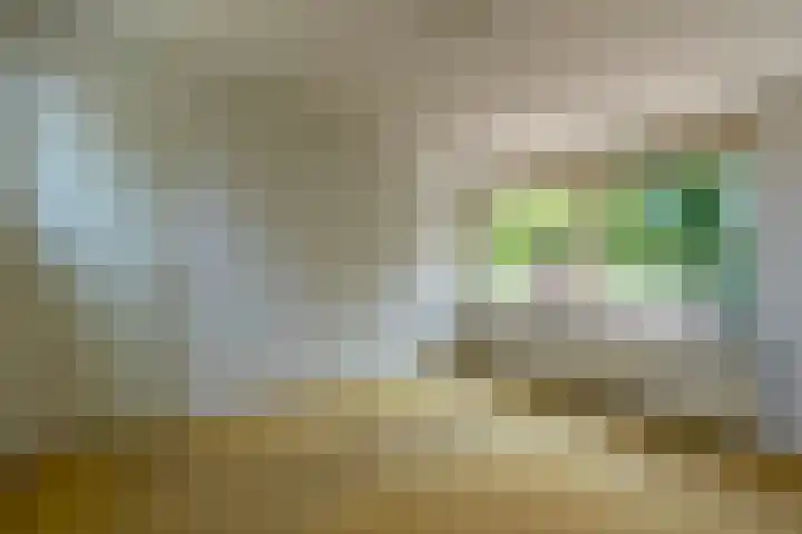 Kuluutsheuvel 12 Overloon thumbnail 54