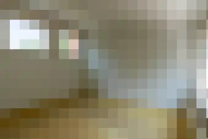 Kuluutsheuvel 12 Overloon thumbnail 55