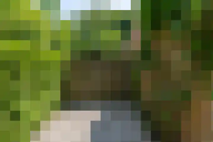 Kuluutsheuvel 12 Overloon thumbnail 6