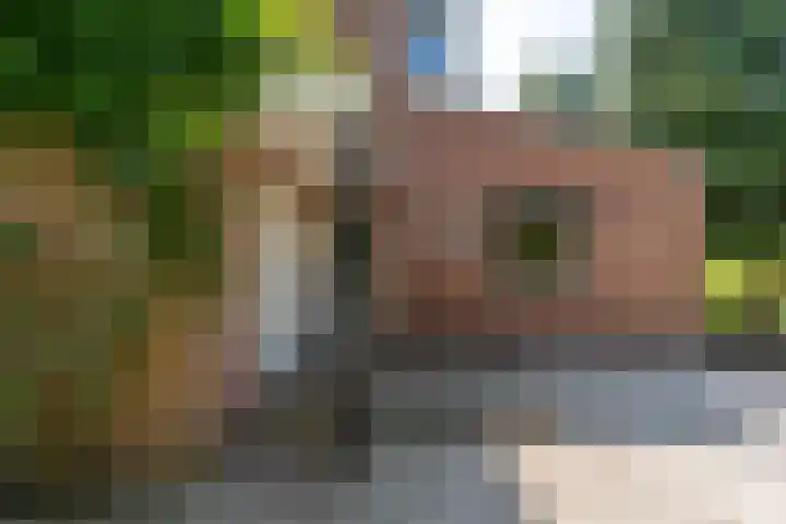 Kuluutsheuvel 12 Overloon thumbnail 7