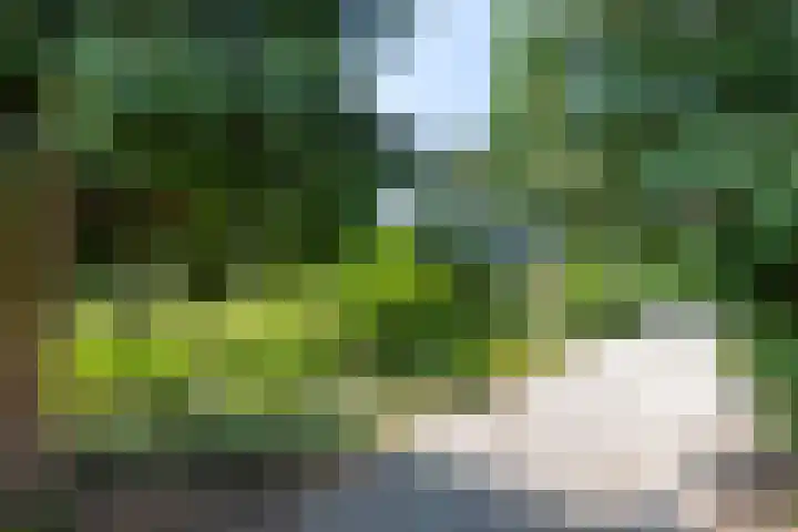 Kuluutsheuvel 12 Overloon thumbnail 9