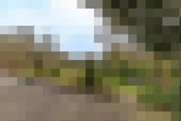 Kuluutsheuvel 32 Overloon thumbnail 11