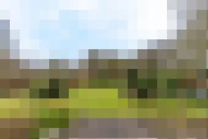 Kuluutsheuvel 32 Overloon thumbnail 17