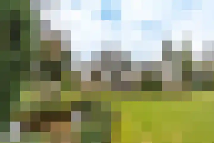 Kuluutsheuvel 32 Overloon thumbnail 18