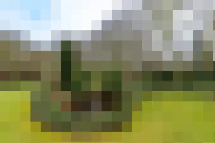 Kuluutsheuvel 32 Overloon thumbnail 19