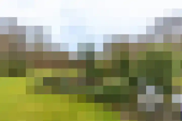 Kuluutsheuvel 32 Overloon thumbnail 20