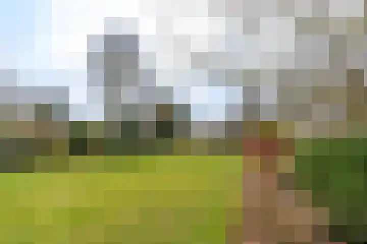Kuluutsheuvel 32 Overloon thumbnail 21