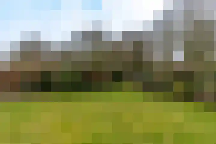 Kuluutsheuvel 32 Overloon thumbnail 22