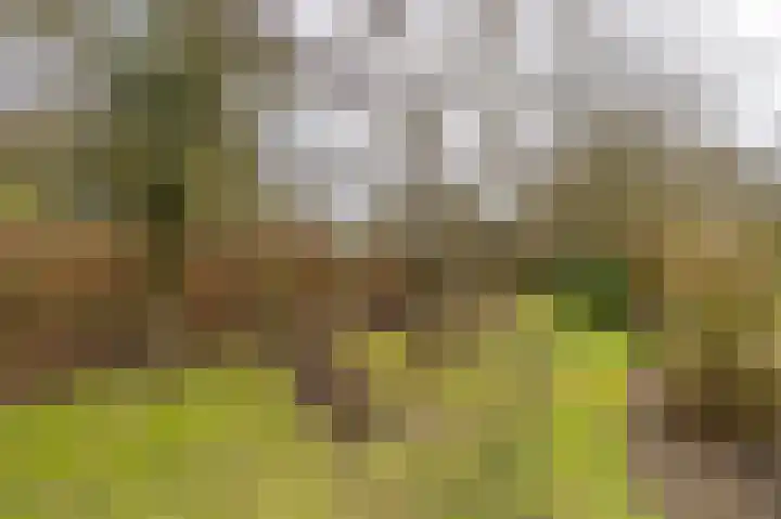 Kuluutsheuvel 32 Overloon thumbnail 23