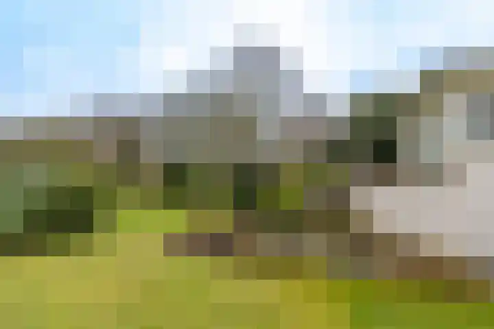 Kuluutsheuvel 32 Overloon thumbnail 25