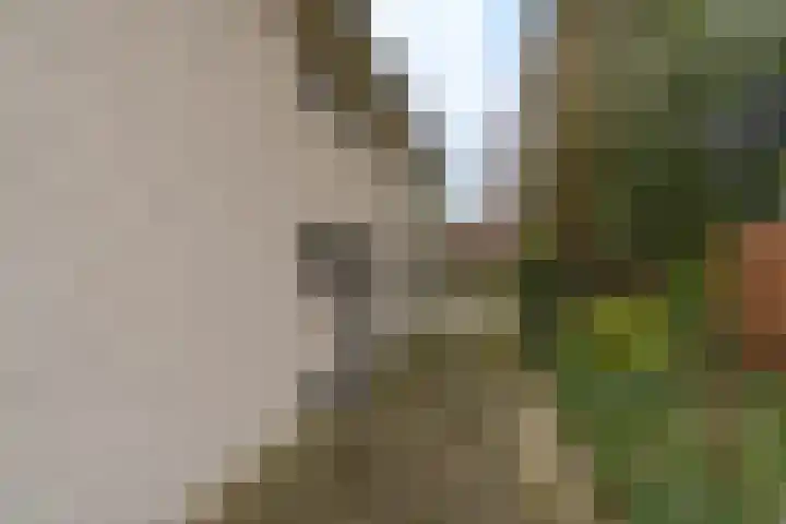 Kuluutsheuvel 32 Overloon thumbnail 26