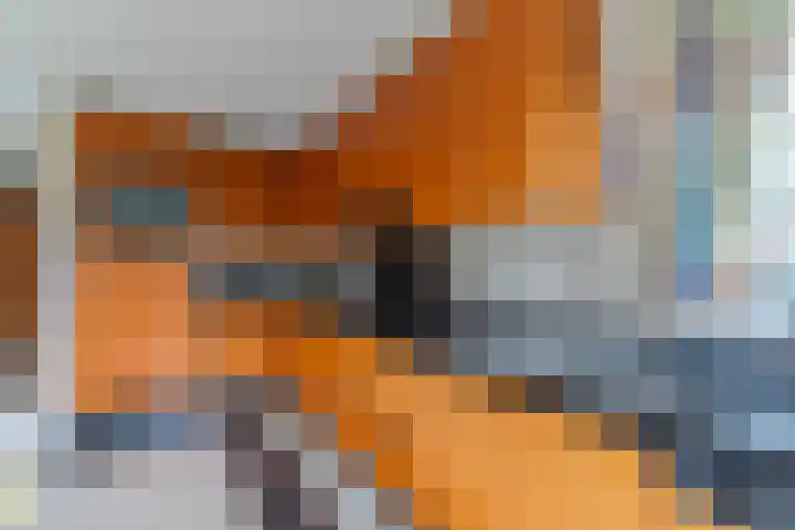 Kuluutsheuvel 32 Overloon thumbnail 34