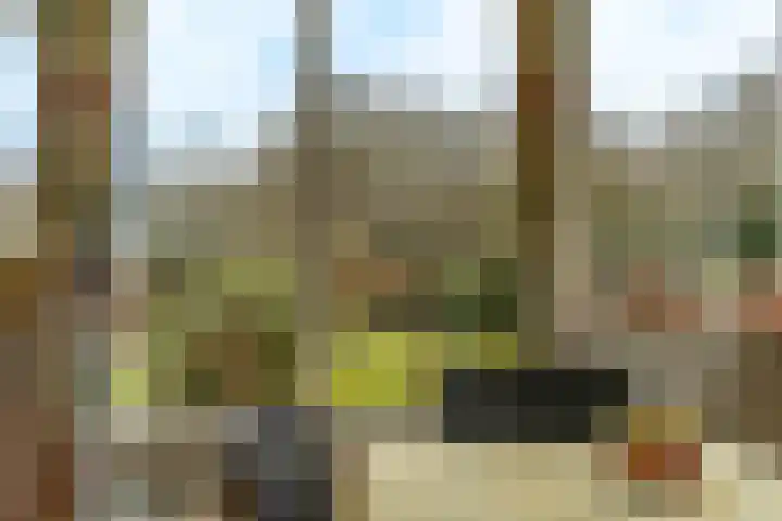 Kuluutsheuvel 32 Overloon thumbnail 37