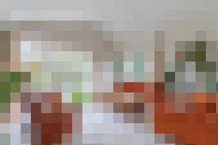 Kuluutsheuvel 32 Overloon thumbnail 47