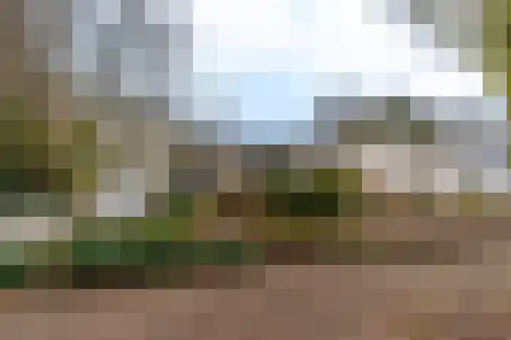Kuluutsheuvel 32 Overloon thumbnail 6