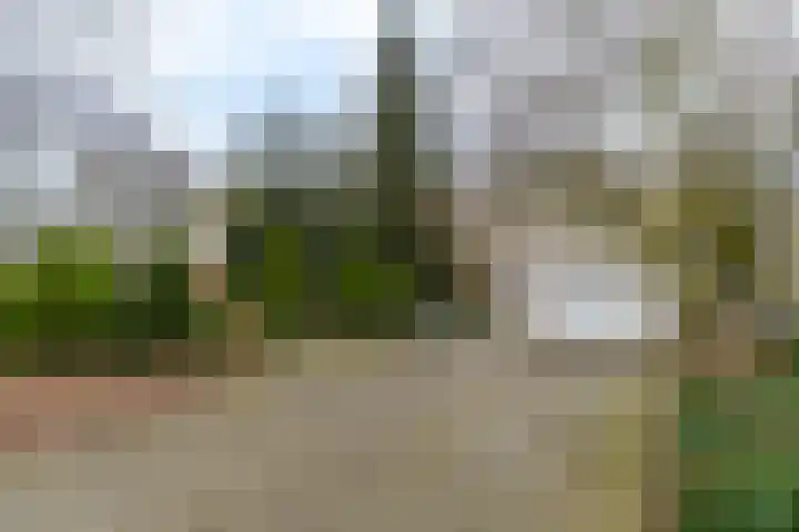 Kuluutsheuvel 32 Overloon thumbnail 8
