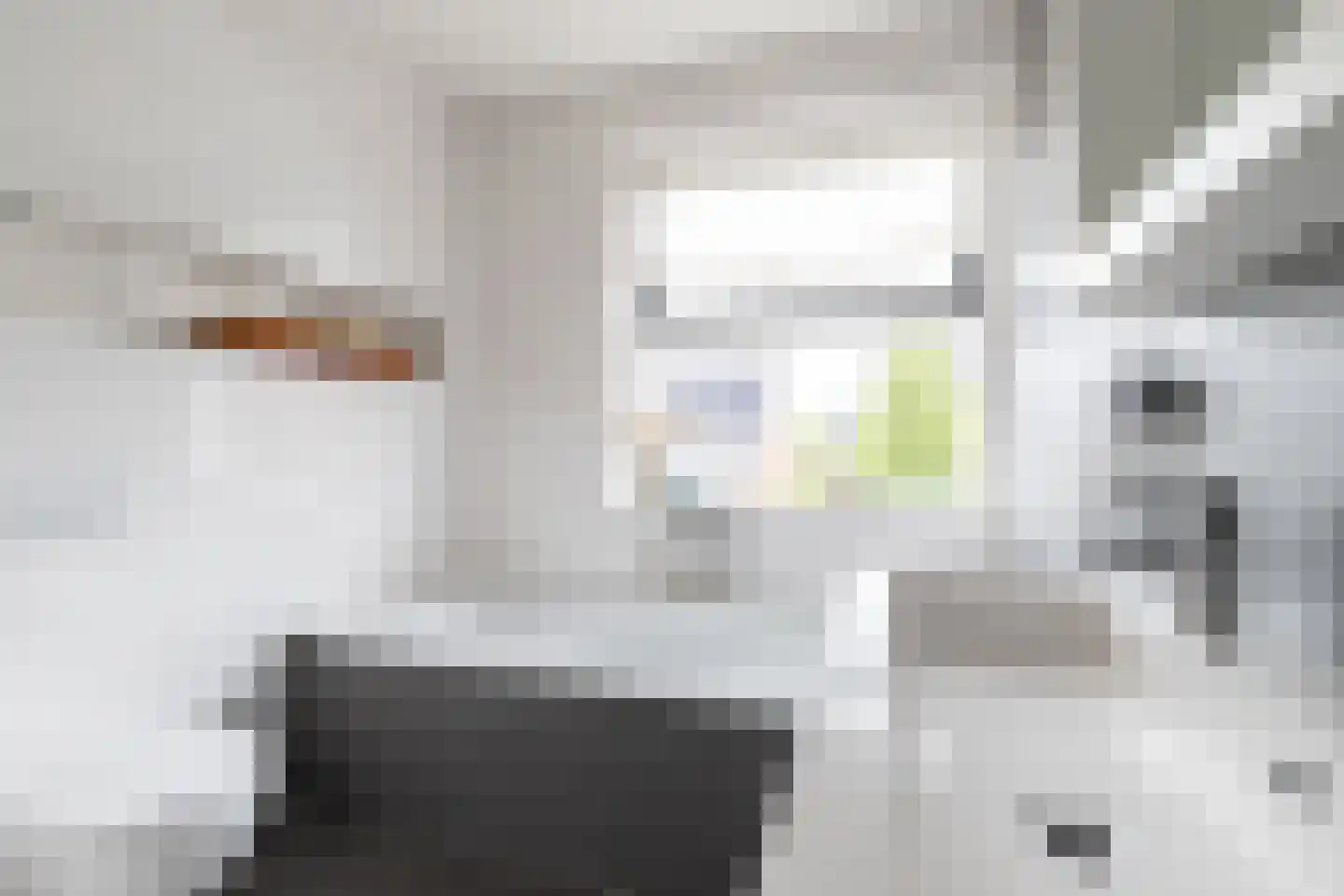 Kumastraat 11 Zuidhorn thumbnail 33
