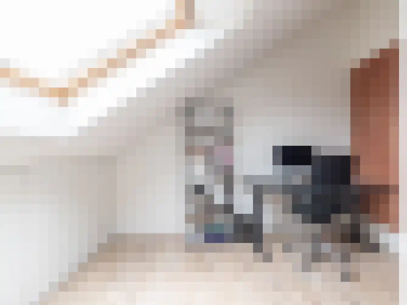 Kumastraat 11 Zuidhorn thumbnail 39