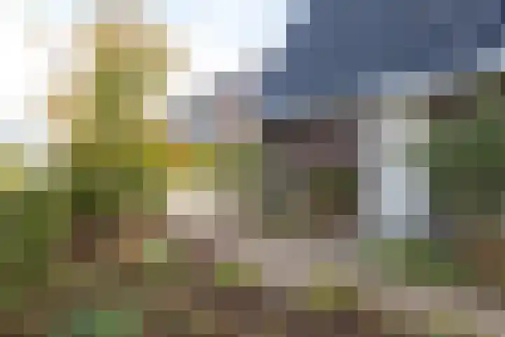 Kumastraat 9 Zuidhorn thumbnail 22