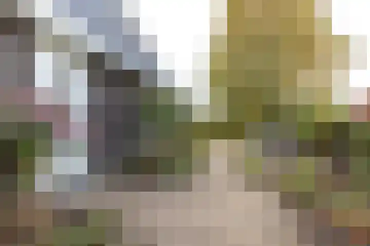 Kumastraat 9 Zuidhorn thumbnail 23