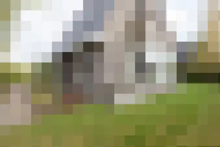 Kumastraat 9 Zuidhorn thumbnail 4