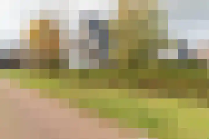 Kumastraat 9 Zuidhorn thumbnail 47