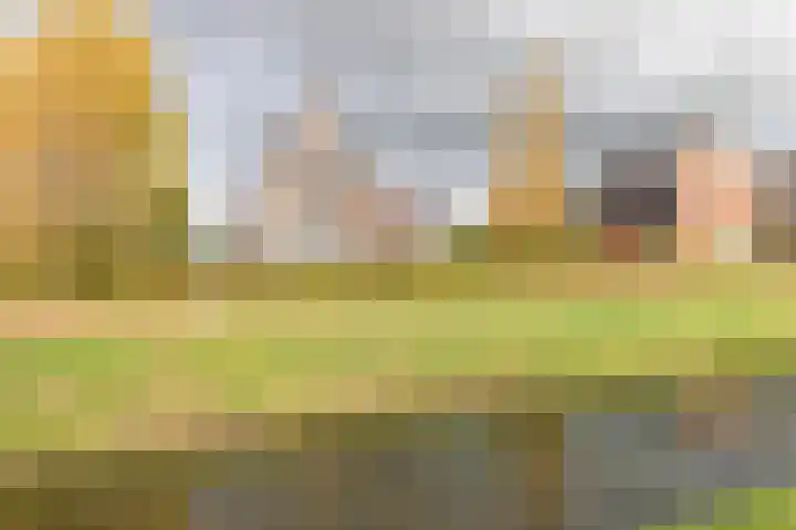 Kumastraat 9 Zuidhorn thumbnail 48