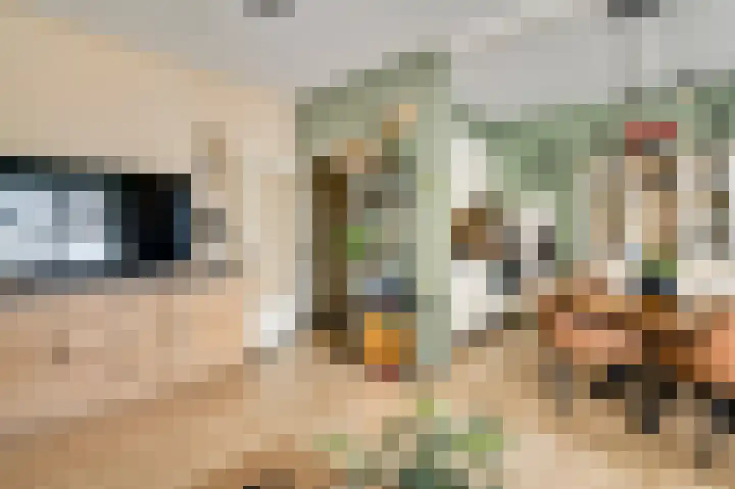 Kummenaedestraat 50 B Geleen thumbnail 10