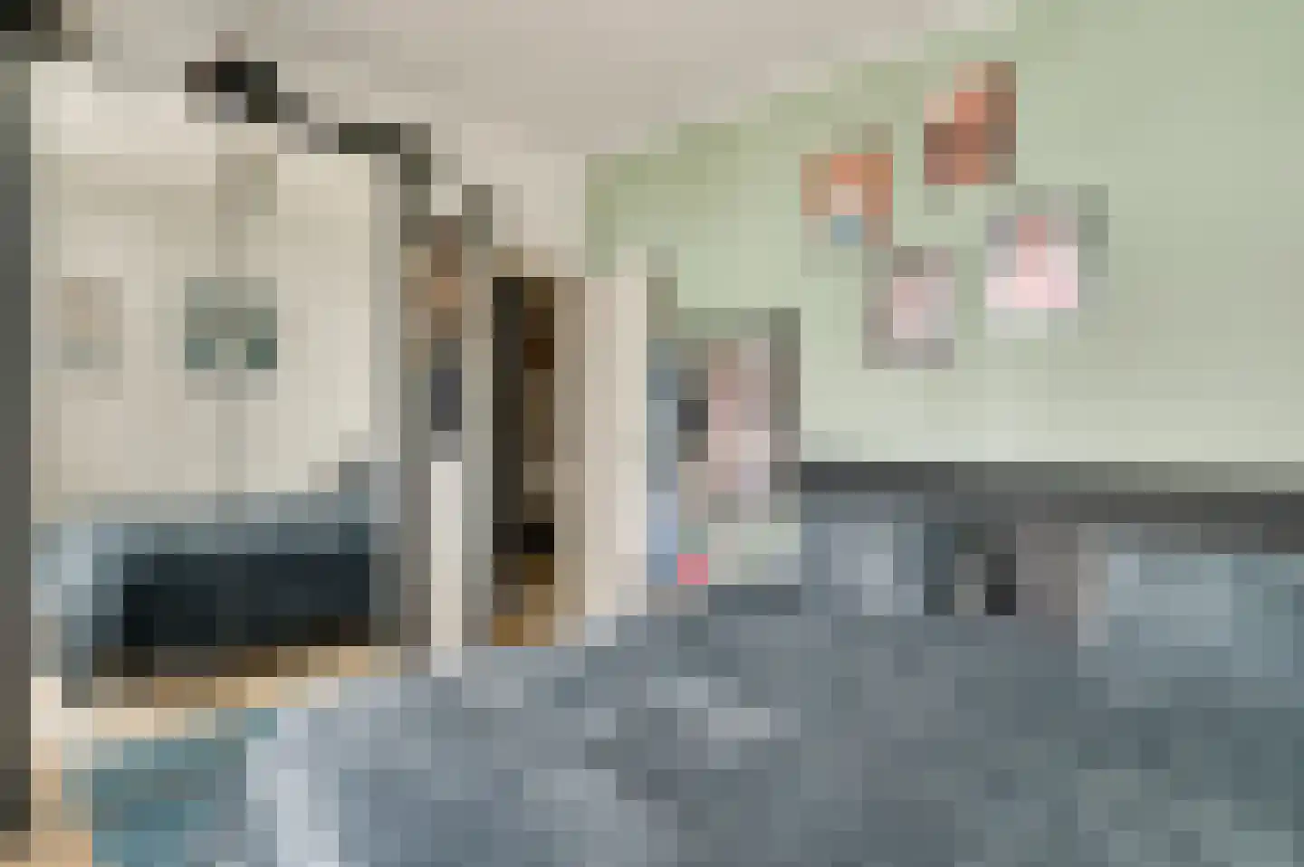 Kummenaedestraat 50 B Geleen thumbnail 15