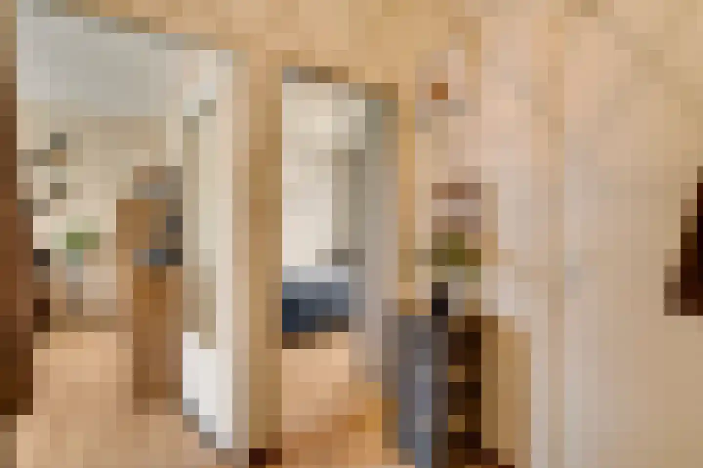 Kummenaedestraat 50 B Geleen thumbnail 8
