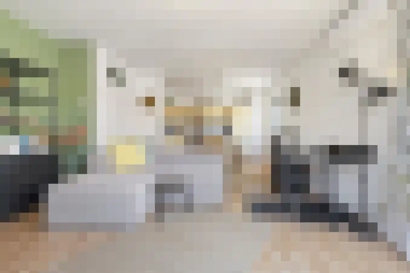 Kummenaedestraat 50 C Geleen thumbnail 20