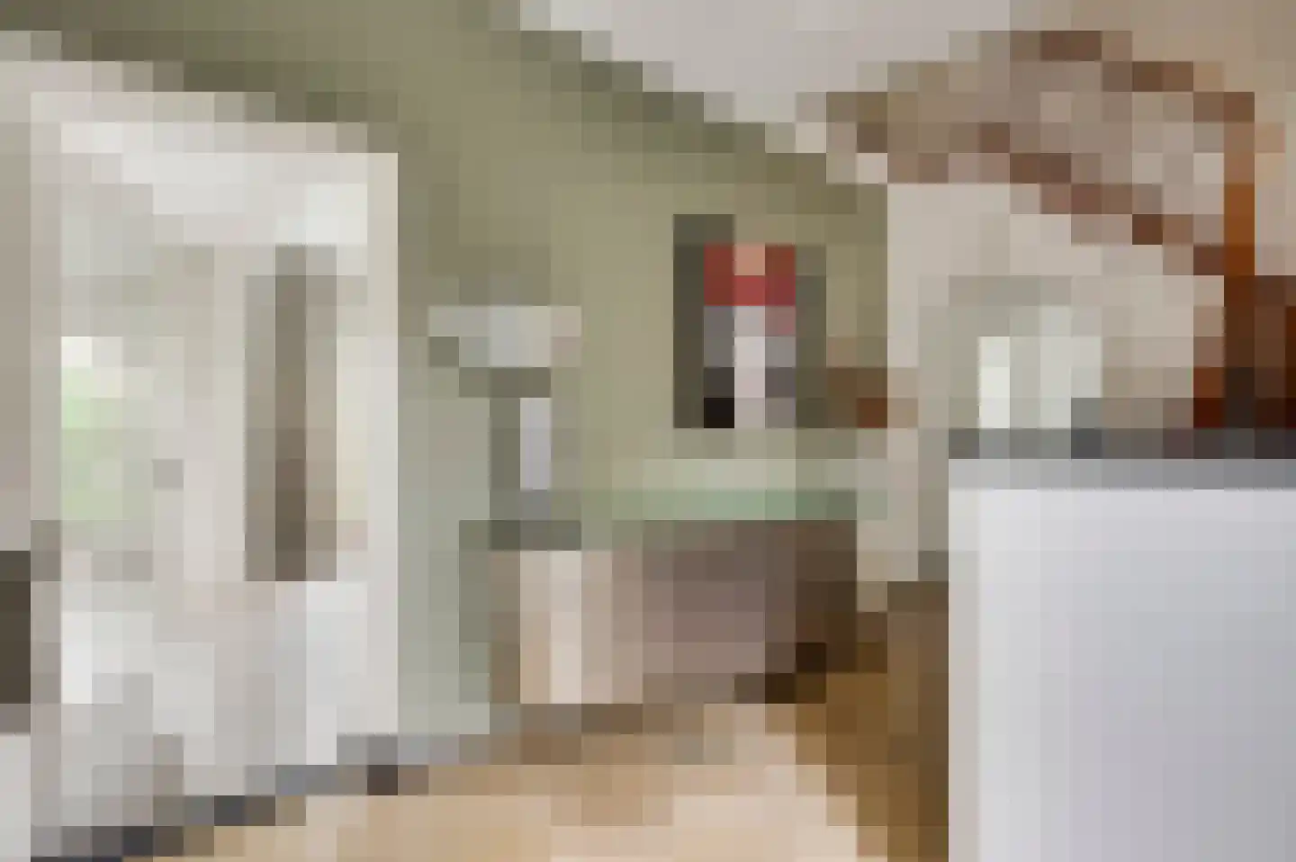 Kummenaedestraat 72 Geleen thumbnail 10