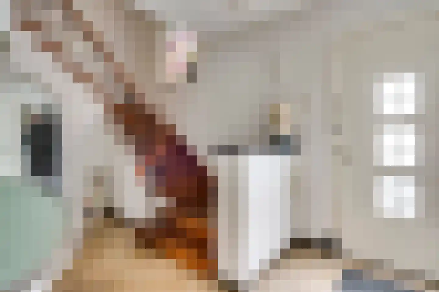 Kummenaedestraat 72 Geleen thumbnail 11