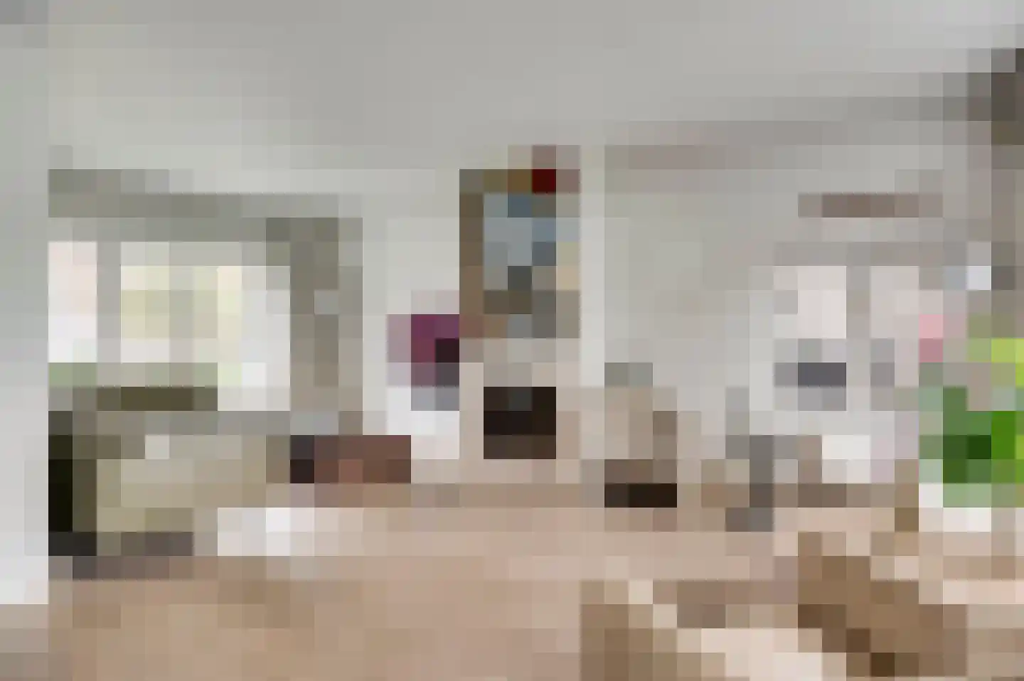 Kummenaedestraat 72 Geleen thumbnail 15